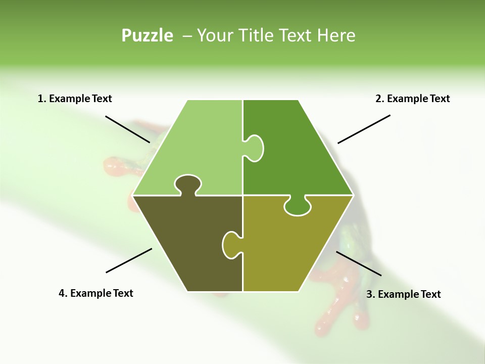 Isolated On White Looking Close Up PowerPoint Template