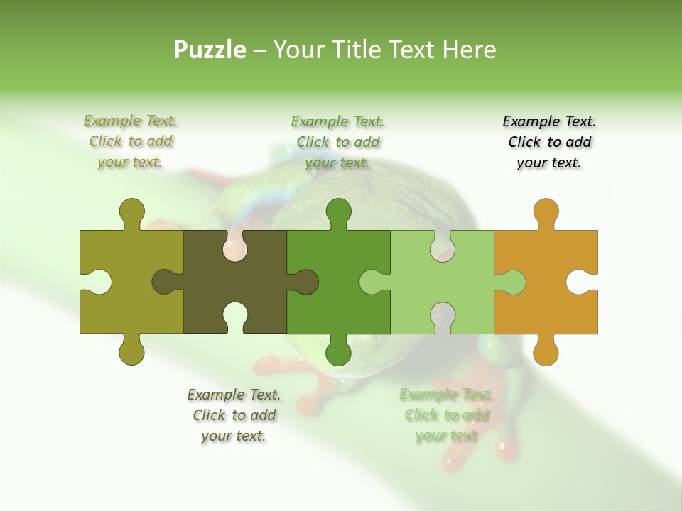 Isolated On White Looking Close Up PowerPoint Template