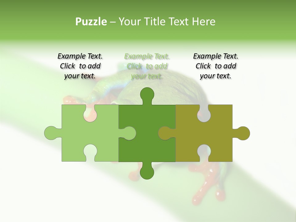 Isolated On White Looking Close Up PowerPoint Template