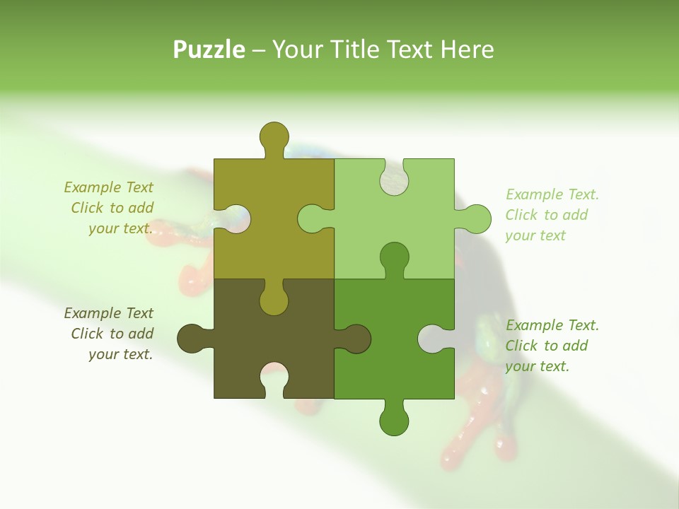 Isolated On White Looking Close Up PowerPoint Template