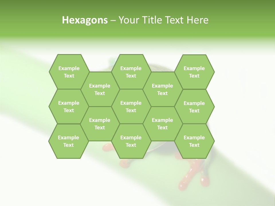 Isolated On White Looking Close Up PowerPoint Template