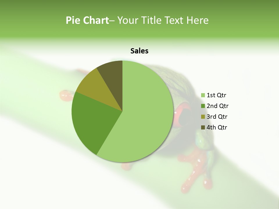 Isolated On White Looking Close Up PowerPoint Template