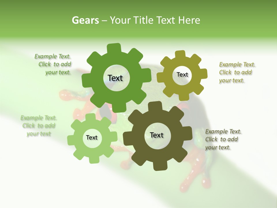 Isolated On White Looking Close Up PowerPoint Template