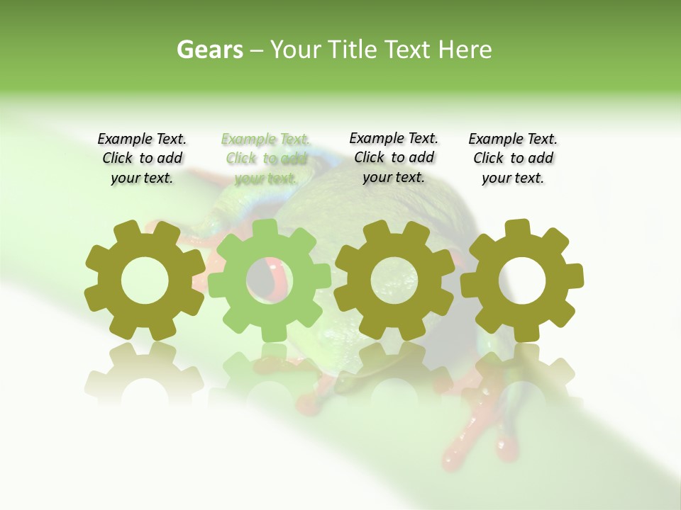 Isolated On White Looking Close Up PowerPoint Template