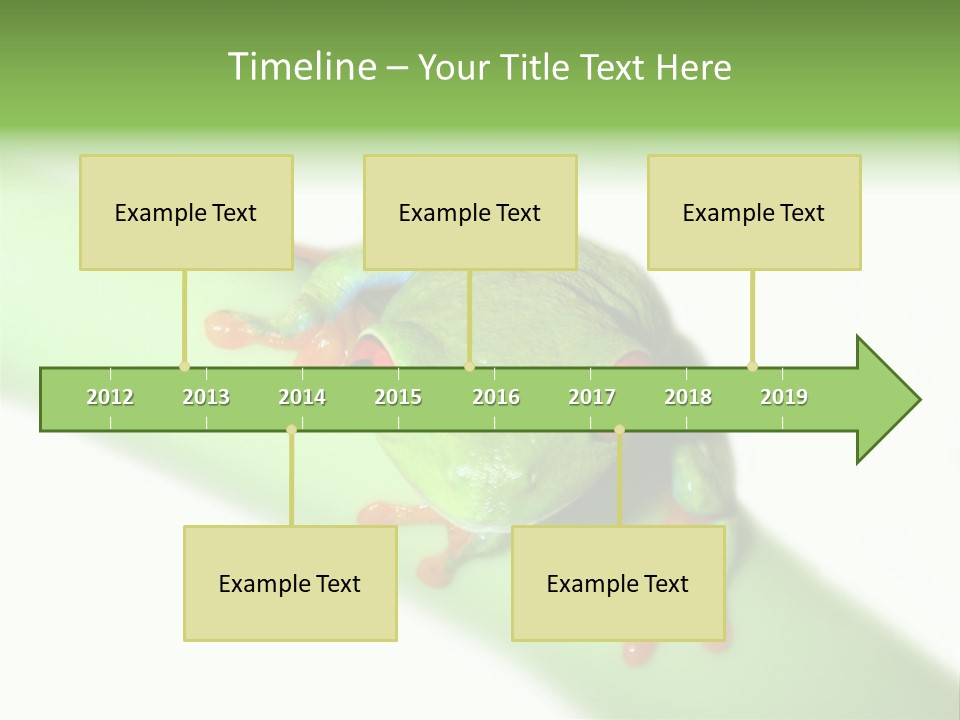 Isolated On White Looking Close Up PowerPoint Template