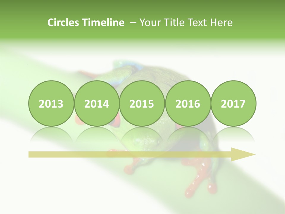 Isolated On White Looking Close Up PowerPoint Template