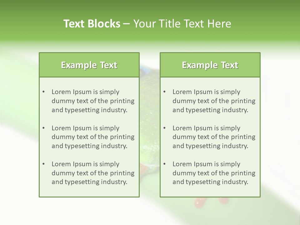 Isolated On White Looking Close Up PowerPoint Template