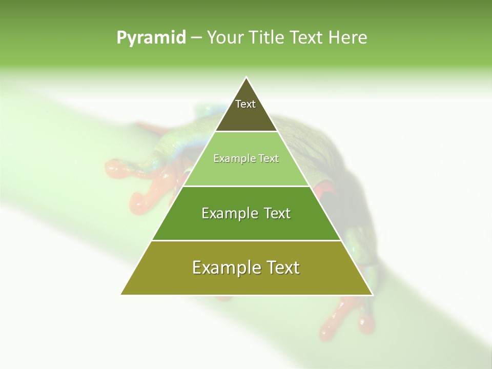 Isolated On White Looking Close Up PowerPoint Template