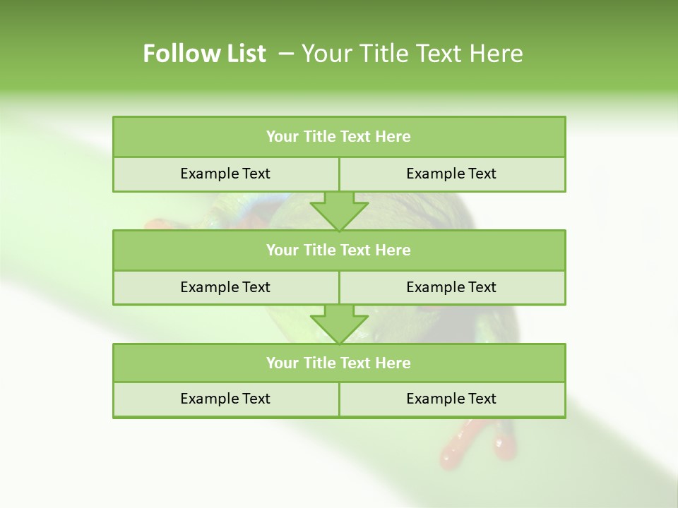 Isolated On White Looking Close Up PowerPoint Template