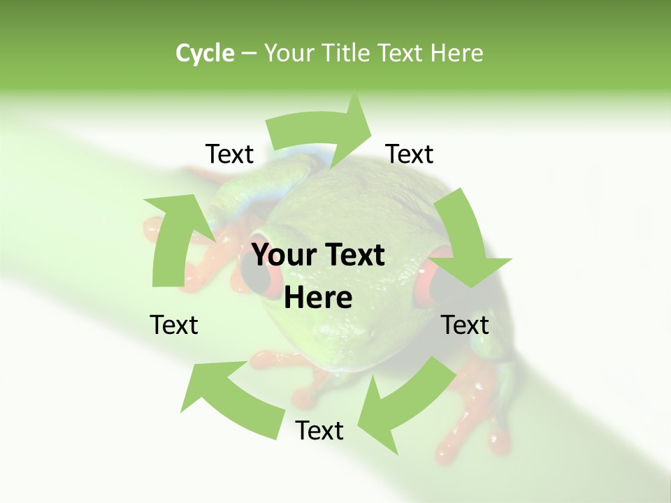 Isolated On White Looking Close Up PowerPoint Template