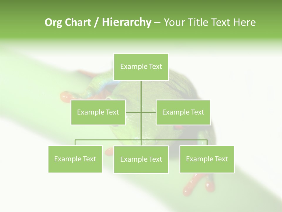 Isolated On White Looking Close Up PowerPoint Template
