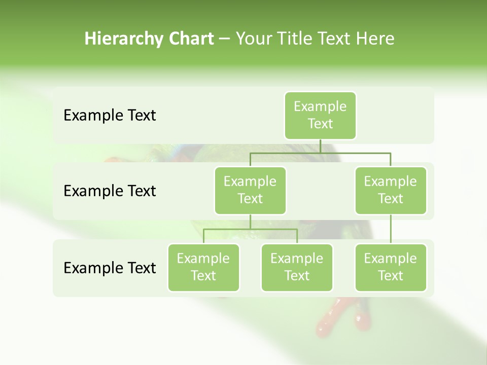 Isolated On White Looking Close Up PowerPoint Template