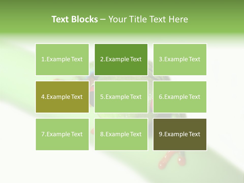 Isolated On White Looking Close Up PowerPoint Template