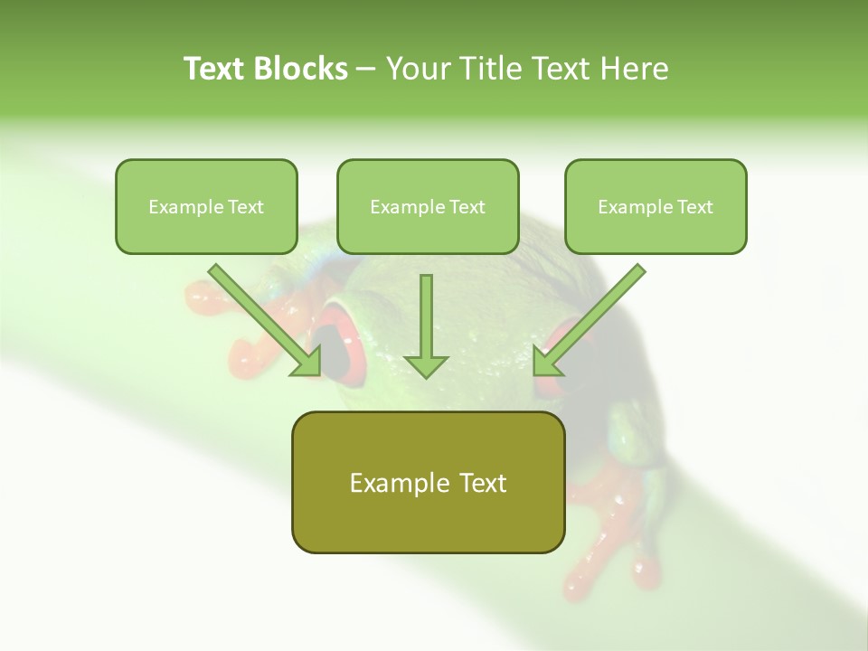 Isolated On White Looking Close Up PowerPoint Template