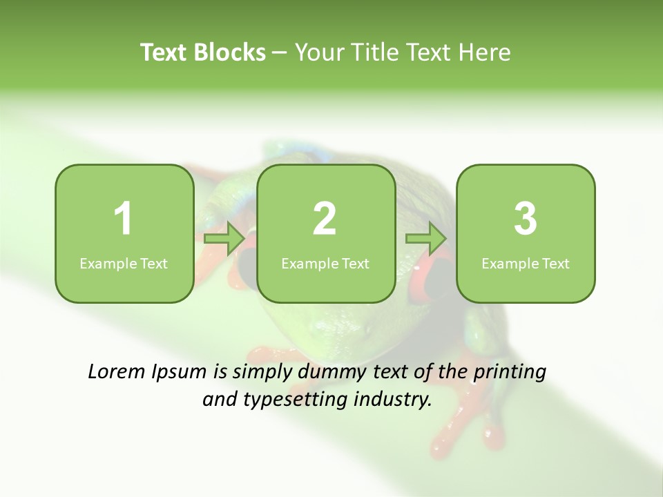 Isolated On White Looking Close Up PowerPoint Template