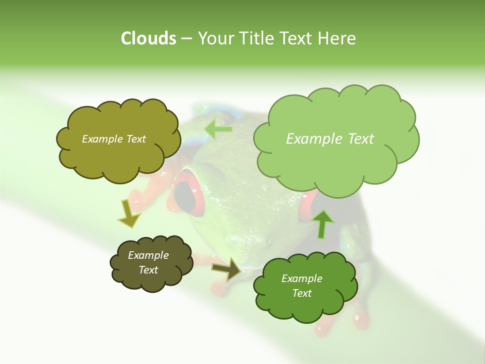 Isolated On White Looking Close Up PowerPoint Template