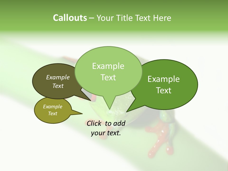 Isolated On White Looking Close Up PowerPoint Template