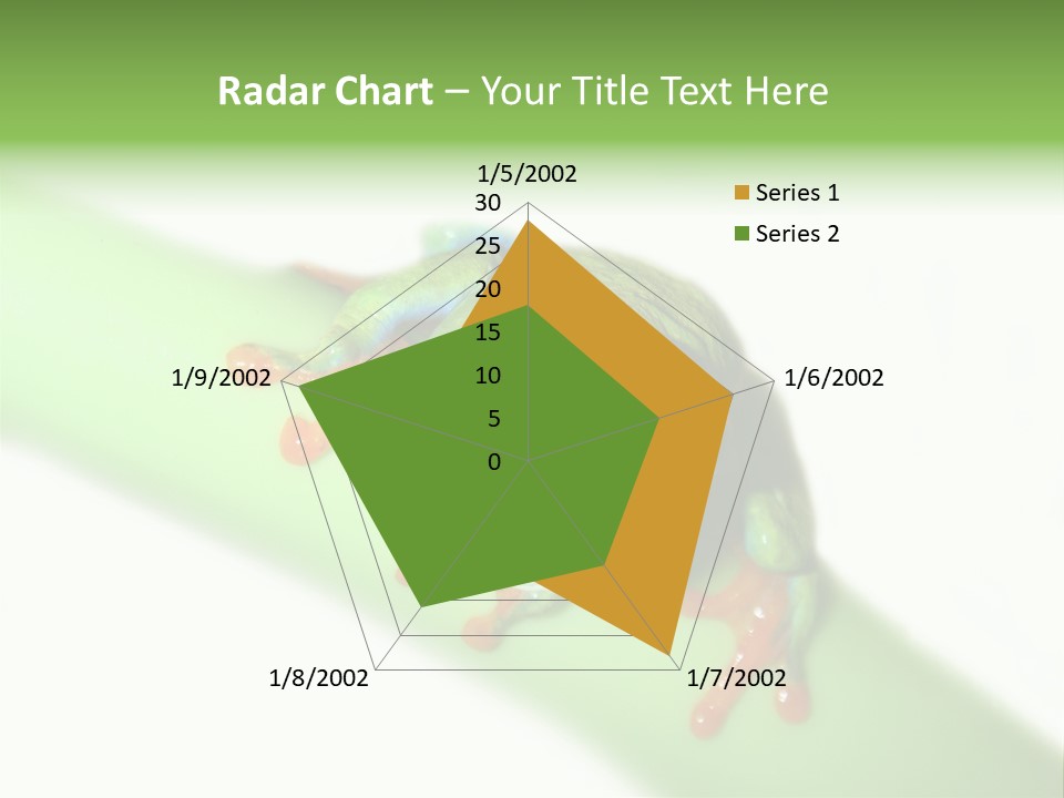 Isolated On White Looking Close Up PowerPoint Template