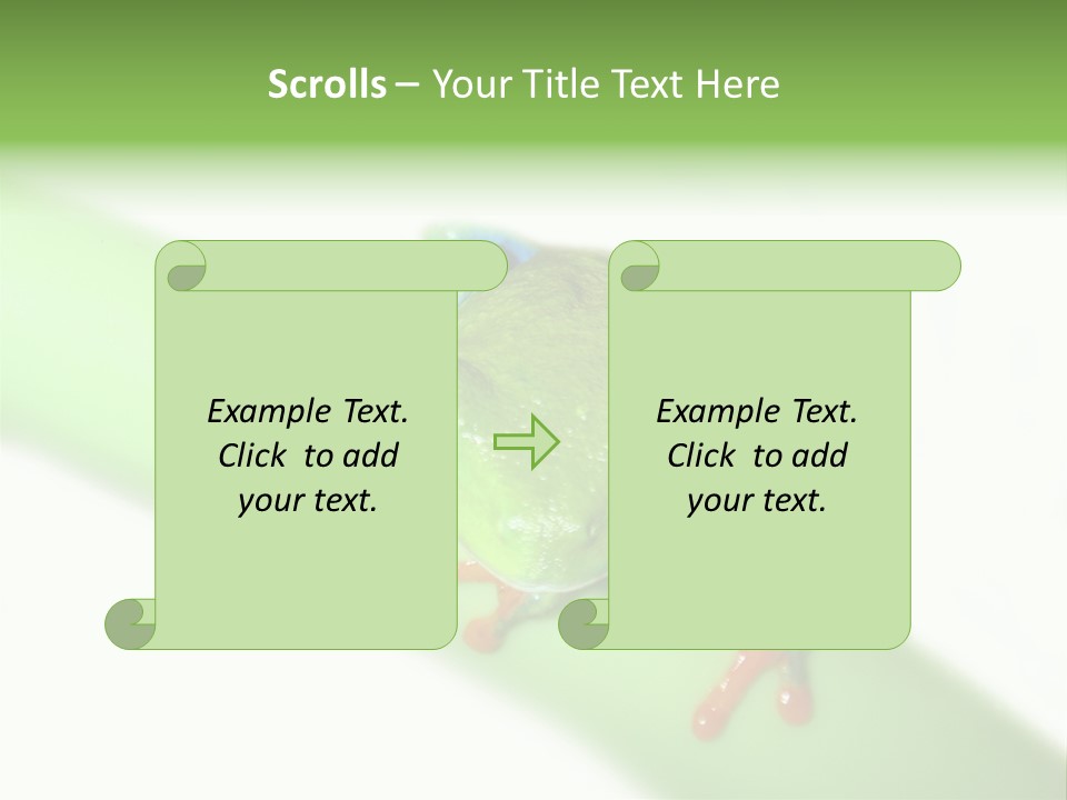 Isolated On White Looking Close Up PowerPoint Template