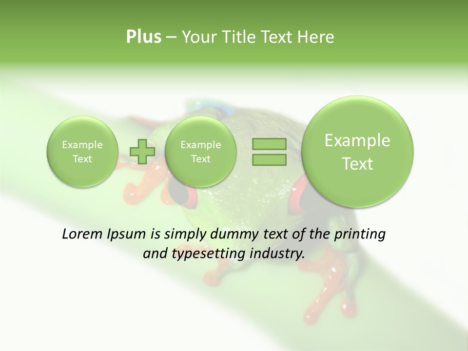 Isolated On White Looking Close Up PowerPoint Template