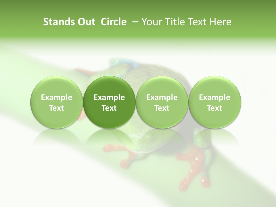 Isolated On White Looking Close Up PowerPoint Template