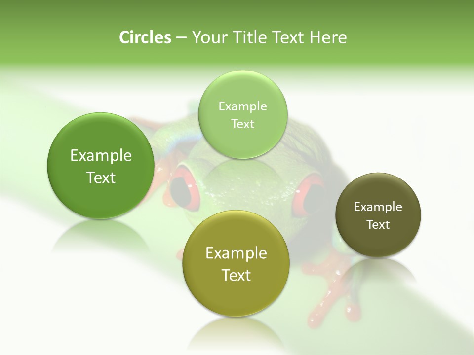 Isolated On White Looking Close Up PowerPoint Template