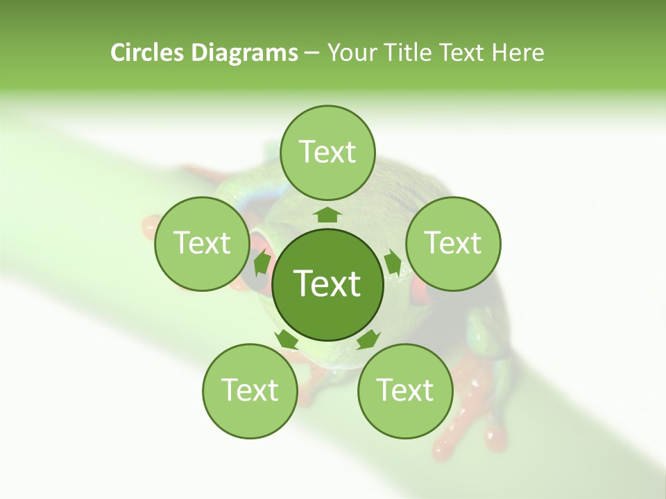 Isolated On White Looking Close Up PowerPoint Template