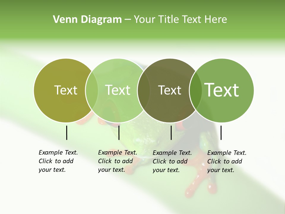 Isolated On White Looking Close Up PowerPoint Template