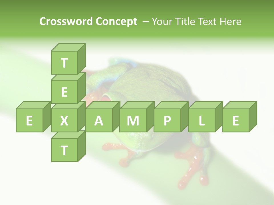 Isolated On White Looking Close Up PowerPoint Template