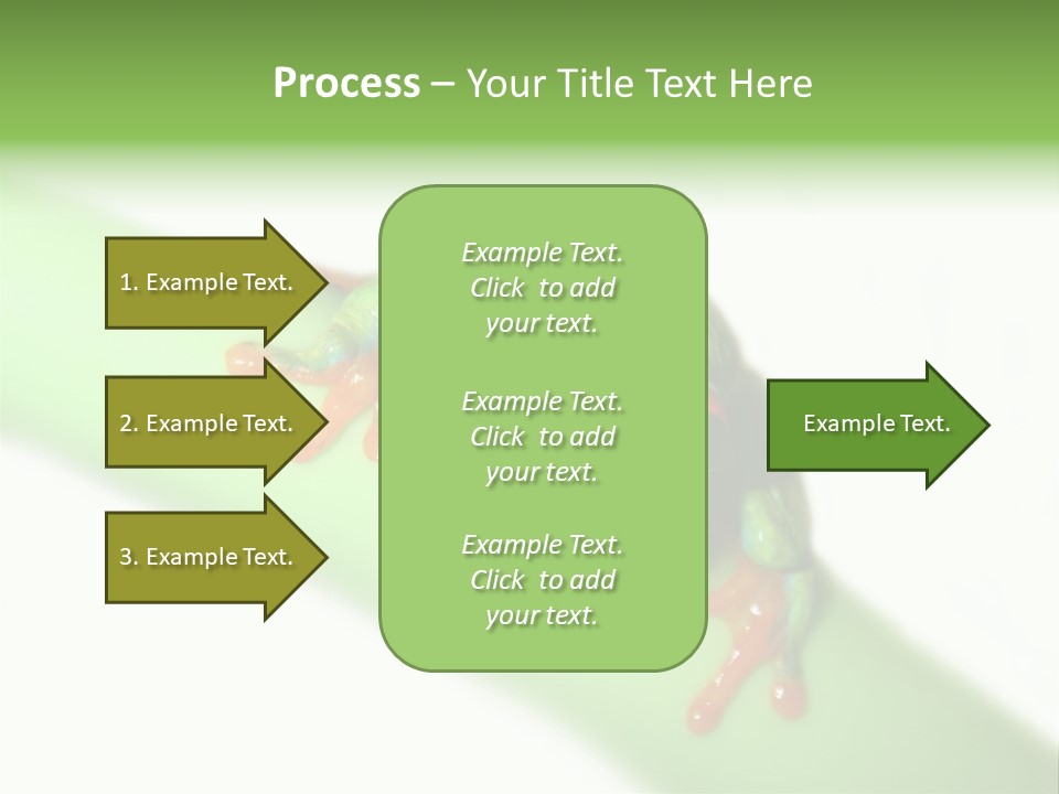 Isolated On White Looking Close Up PowerPoint Template