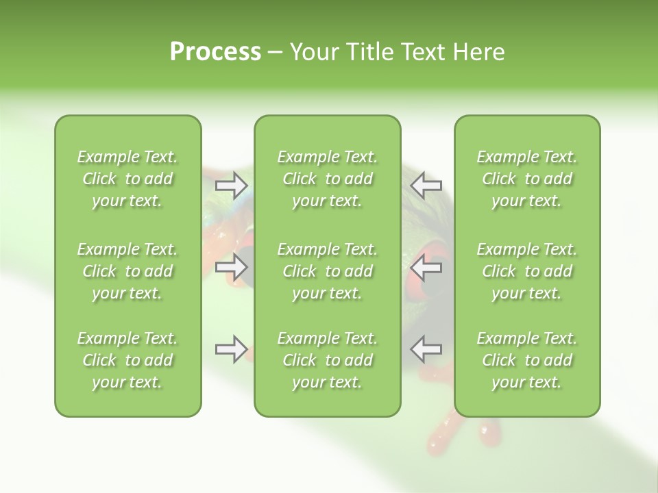 Isolated On White Looking Close Up PowerPoint Template