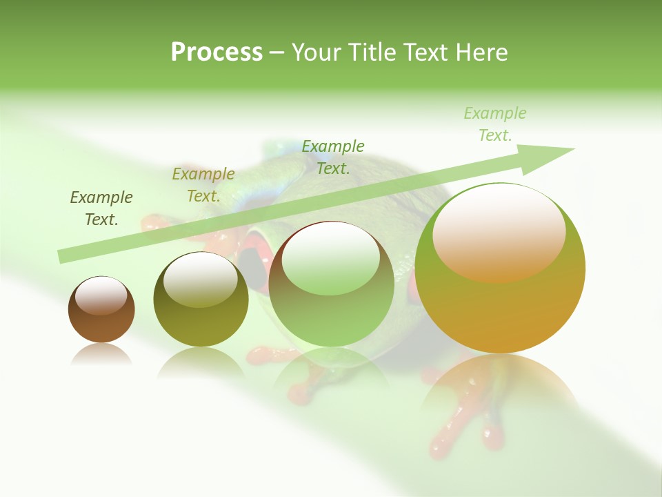 Isolated On White Looking Close Up PowerPoint Template