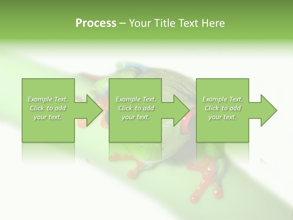 Isolated On White Looking Close Up PowerPoint Template