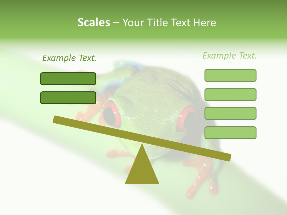 Isolated On White Looking Close Up PowerPoint Template