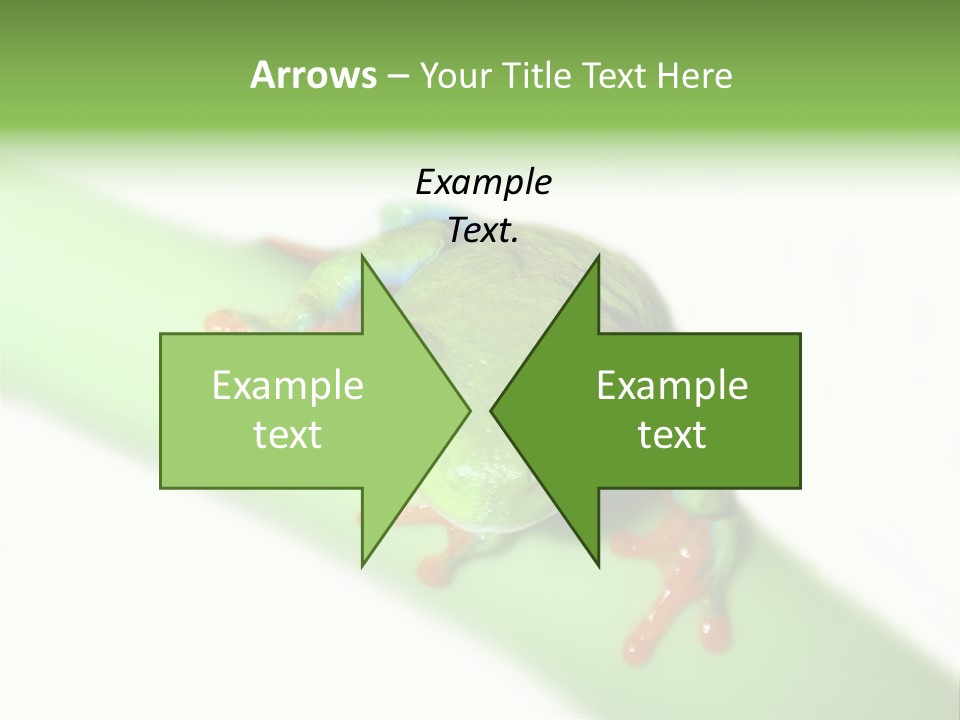 Isolated On White Looking Close Up PowerPoint Template