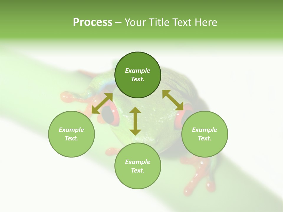 Isolated On White Looking Close Up PowerPoint Template