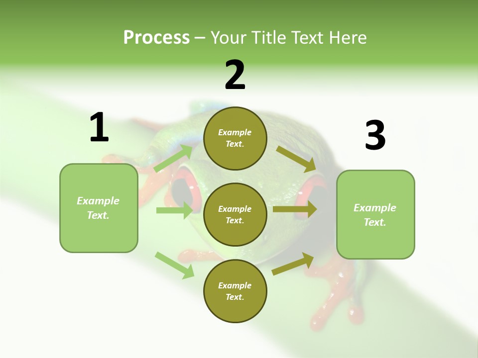 Isolated On White Looking Close Up PowerPoint Template