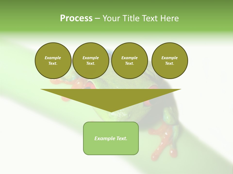 Isolated On White Looking Close Up PowerPoint Template