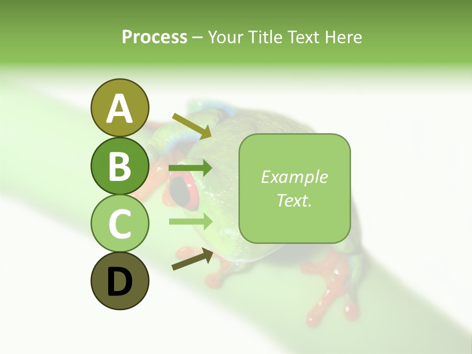 Isolated On White Looking Close Up PowerPoint Template