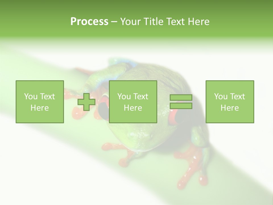 Isolated On White Looking Close Up PowerPoint Template