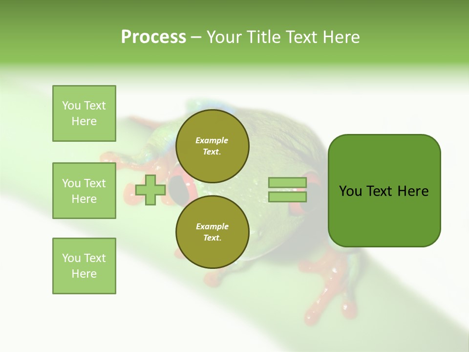 Isolated On White Looking Close Up PowerPoint Template