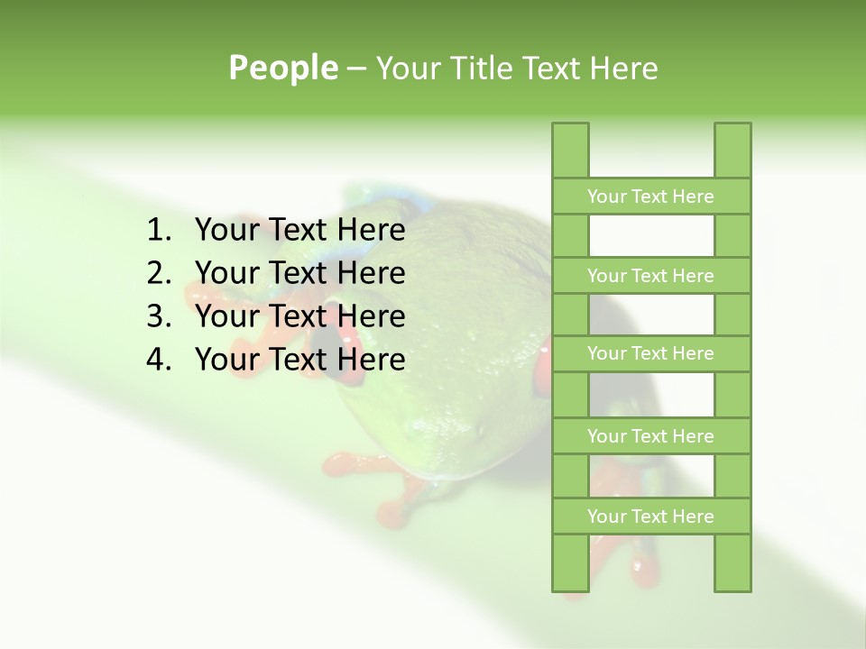 Isolated On White Looking Close Up PowerPoint Template