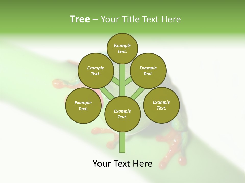 Isolated On White Looking Close Up PowerPoint Template