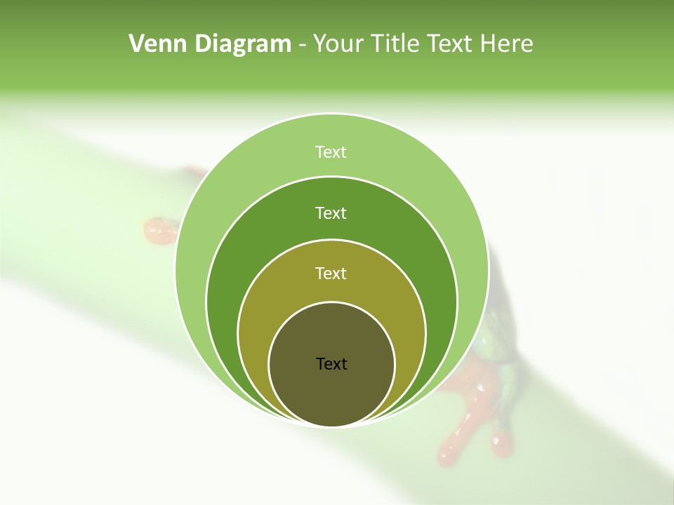 Isolated On White Looking Close Up PowerPoint Template