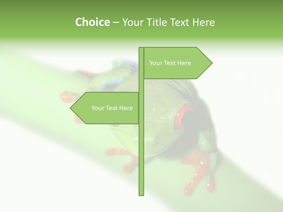 Isolated On White Looking Close Up PowerPoint Template