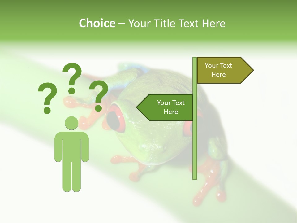 Isolated On White Looking Close Up PowerPoint Template