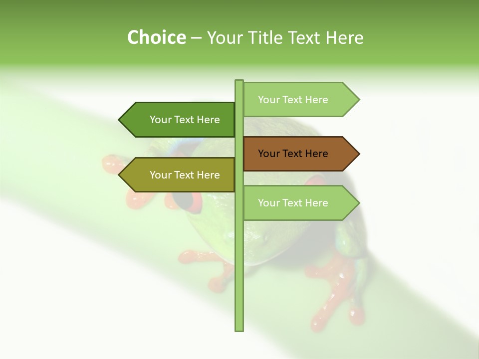 Isolated On White Looking Close Up PowerPoint Template