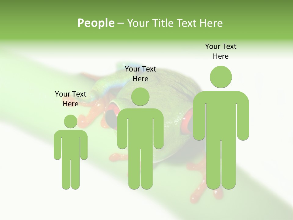 Isolated On White Looking Close Up PowerPoint Template