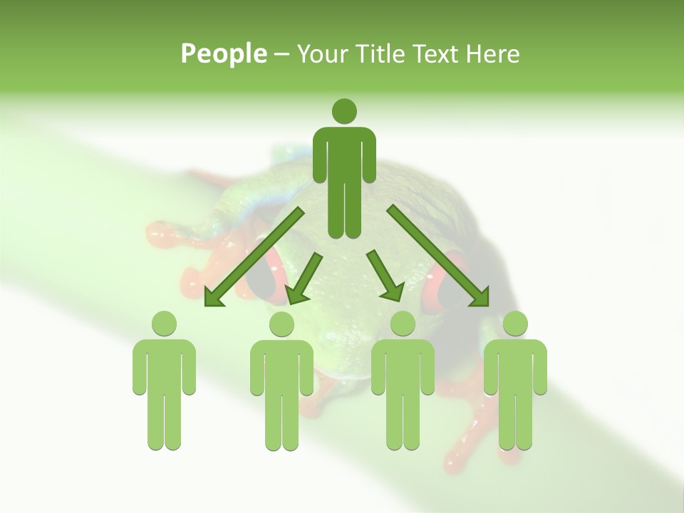 Isolated On White Looking Close Up PowerPoint Template