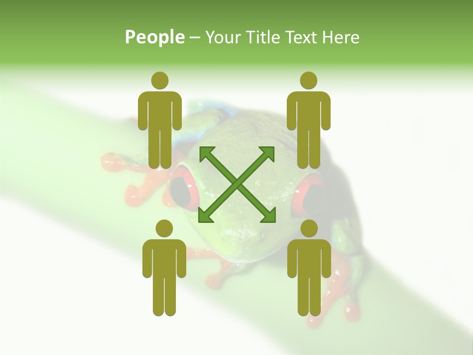 Isolated On White Looking Close Up PowerPoint Template